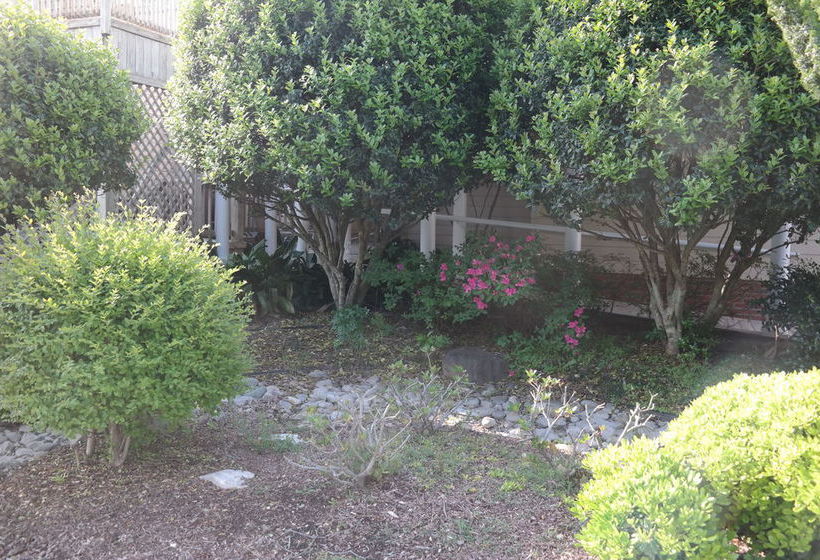 Beach Spa Bed And Breakfast