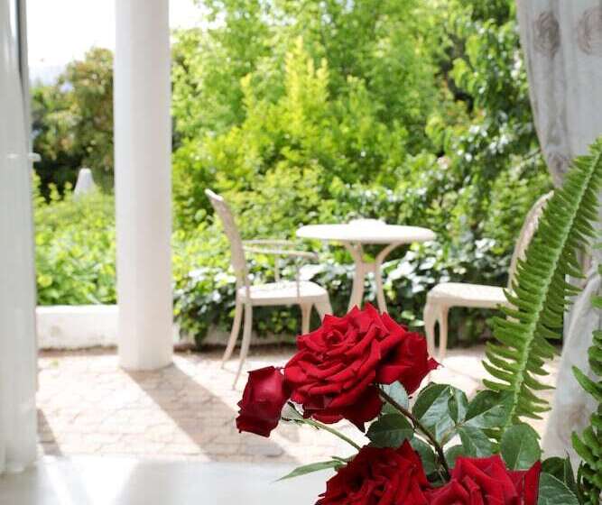 مبيت وإفطار Alba House Guest House