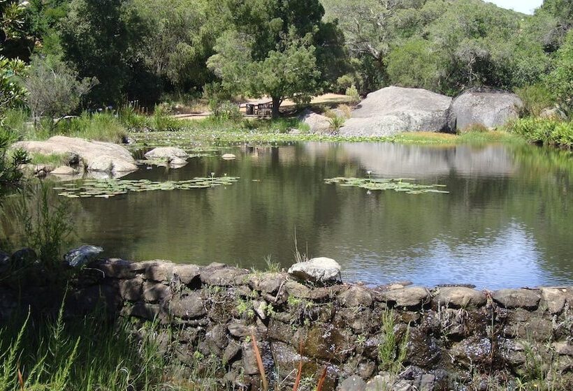 مبيت وإفطار Alba House Guest House