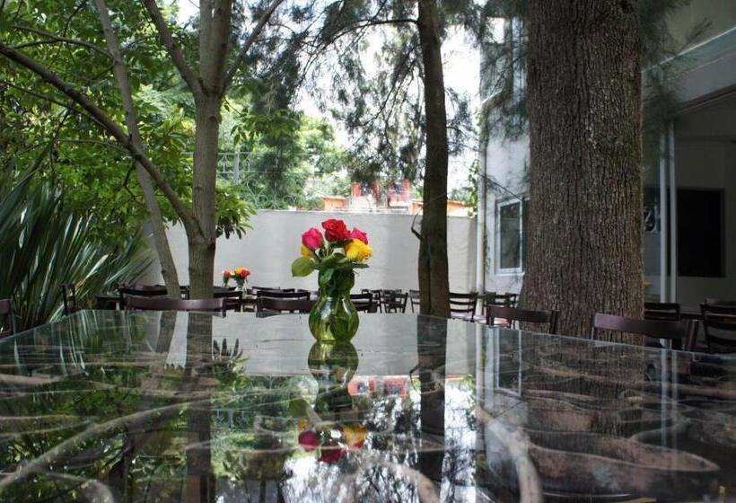 ベッドアンドブレックファースト Casa Tepoztlán