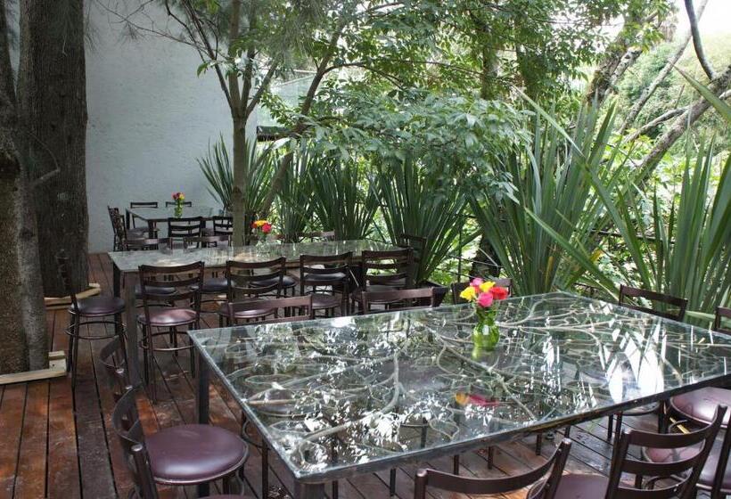 ベッドアンドブレックファースト Casa Tepoztlán