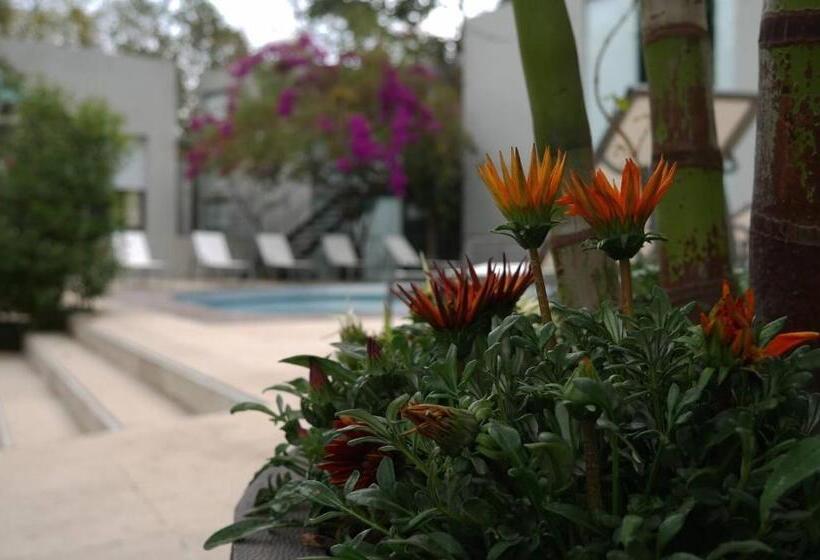 ベッドアンドブレックファースト Casa Tepoztlán