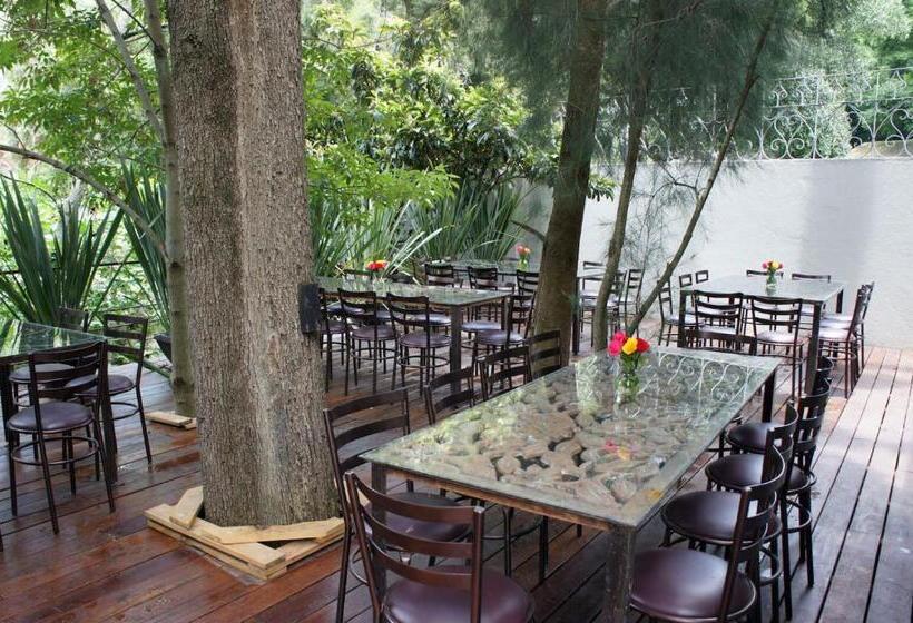 ベッドアンドブレックファースト Casa Tepoztlán