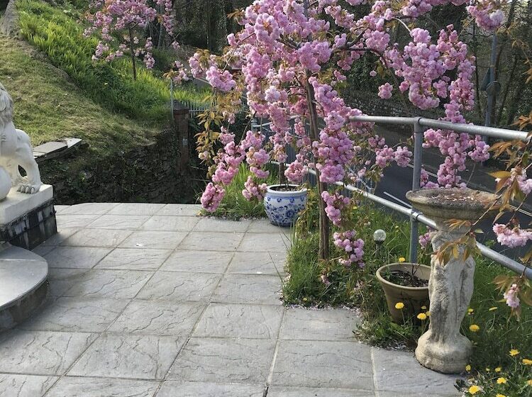 مبيت وإفطار Cherrywood Lodge