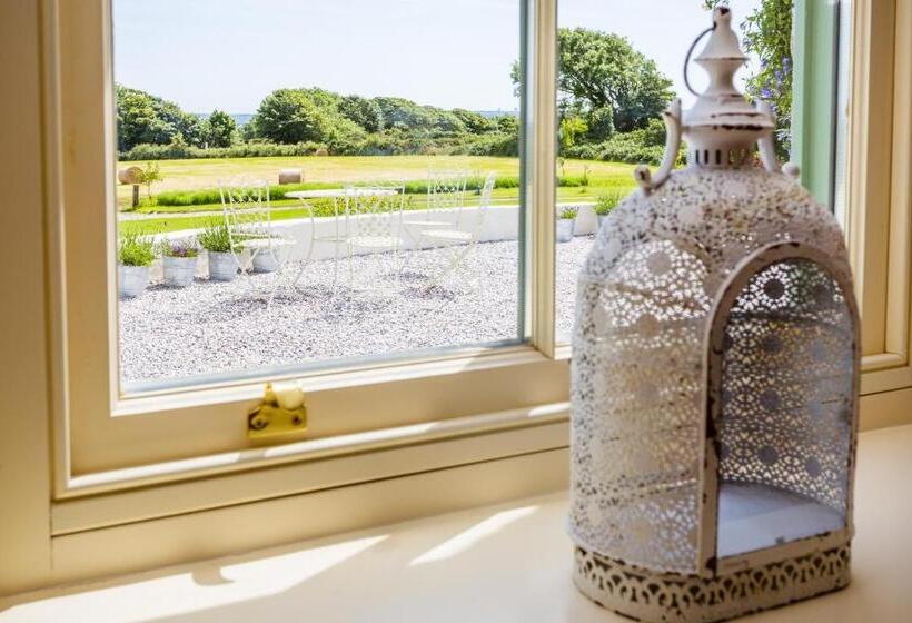 ベッドアンドブレックファースト Fig Tree House