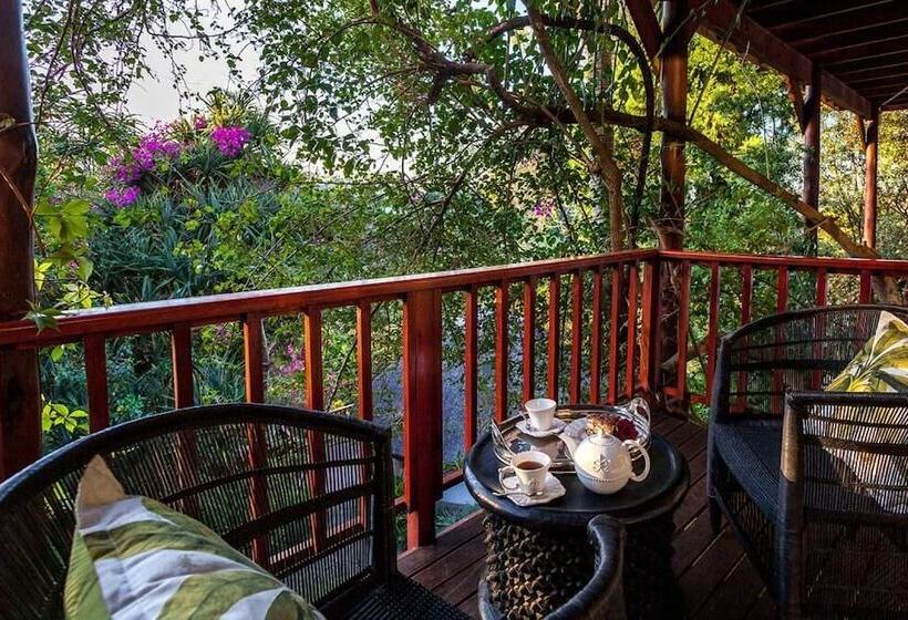 צימר The Loerie Hide