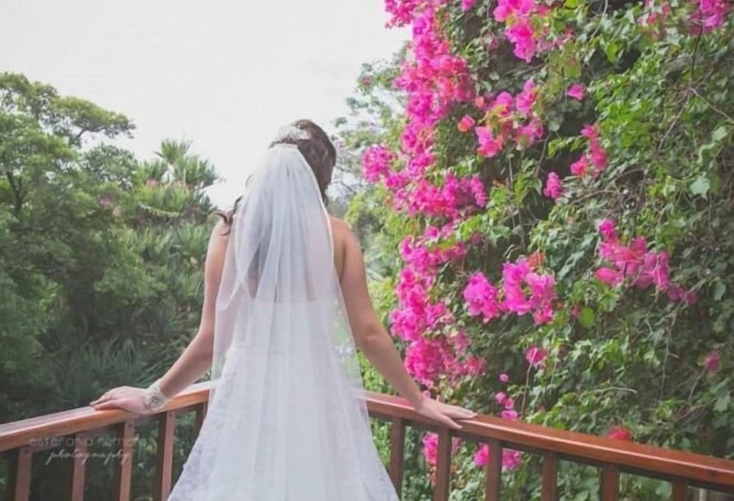 צימר The Loerie Hide