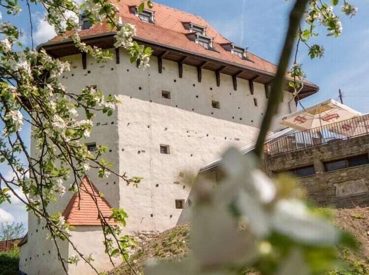 Boutique Hotel Pracháreň