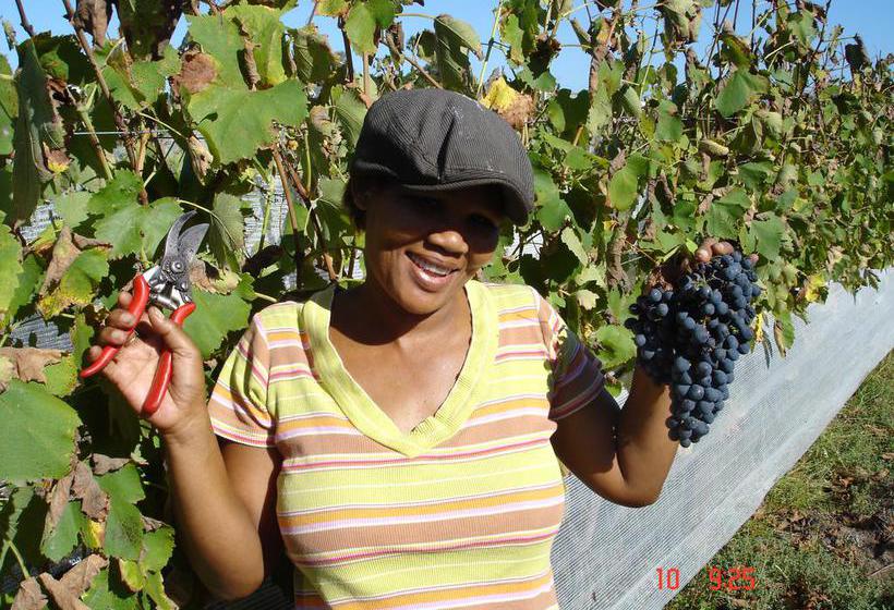 De Doornkraal Vinotel