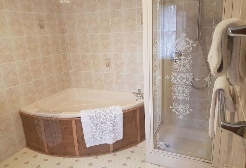 客栈 Dolbrodmaeth Riverside B&b