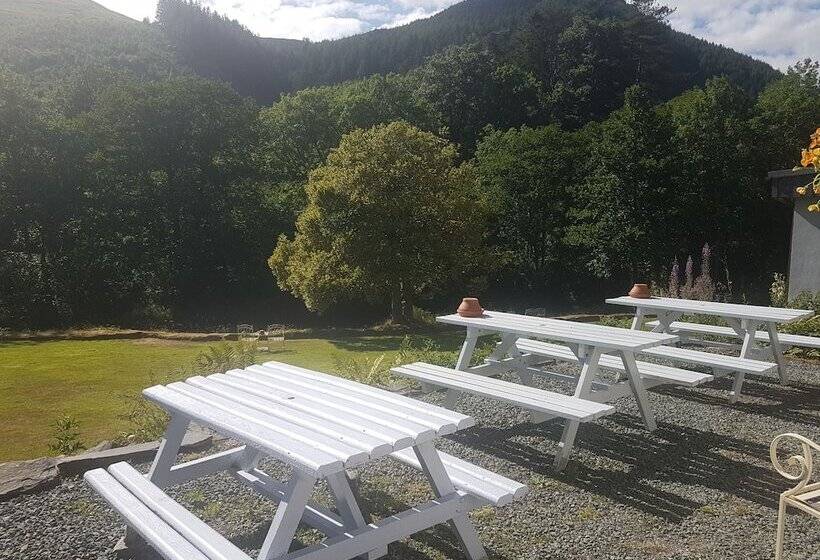 客栈 Dolbrodmaeth Riverside B&b