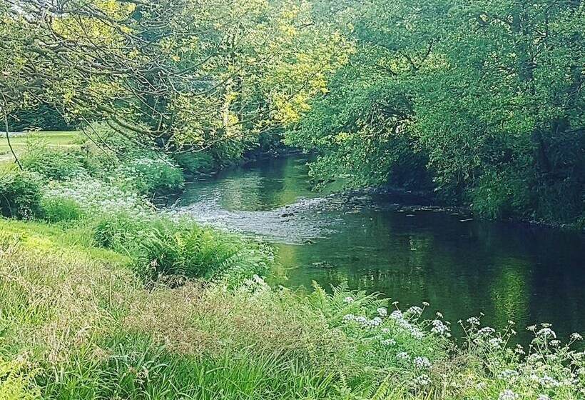 客栈 Dolbrodmaeth Riverside B&b