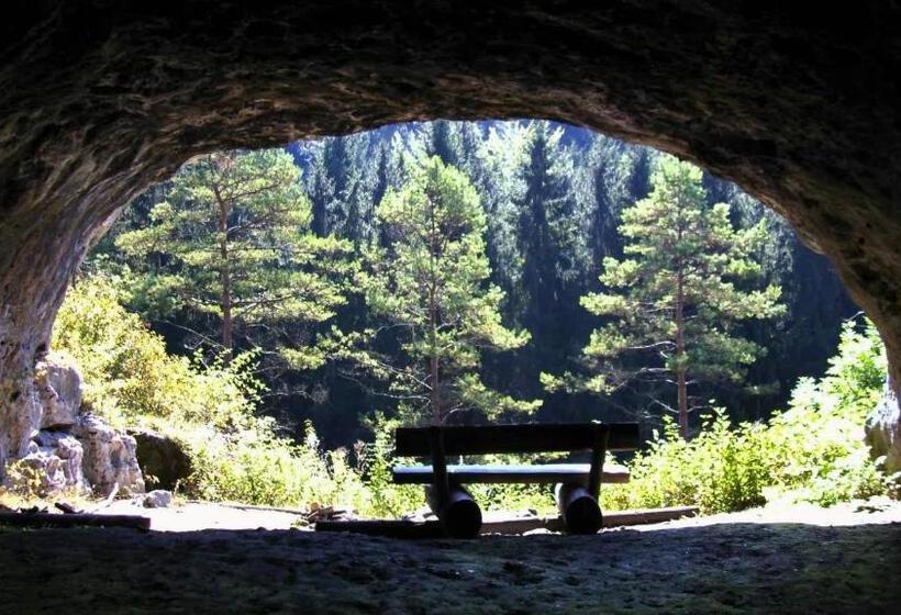 فندق فئة نجمة واحدة Pension Gisela