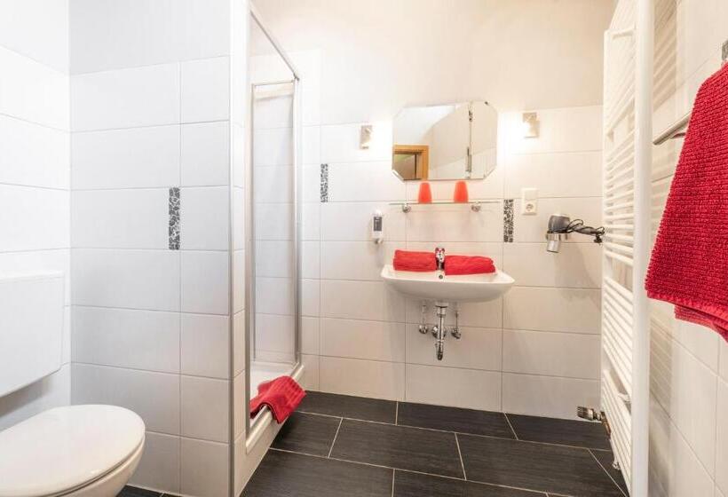 فندق فئة نجمة واحدة Pension Gisela