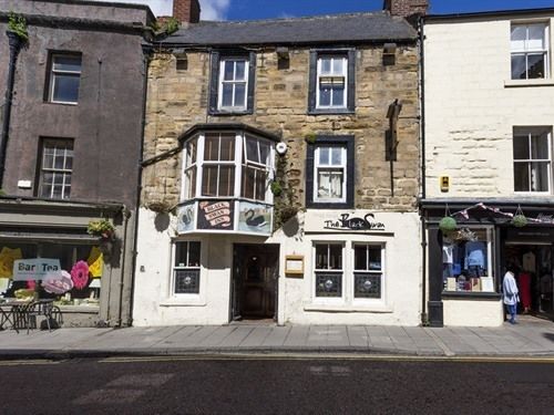 فندق فئة نجمة واحدة Black Swan