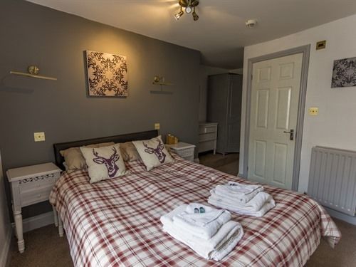 فندق فئة نجمة واحدة Black Swan