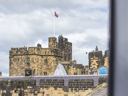 فندق فئة نجمة واحدة Black Swan