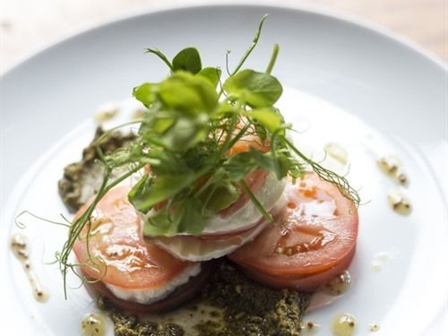 فندق فئة نجمة واحدة Black Swan