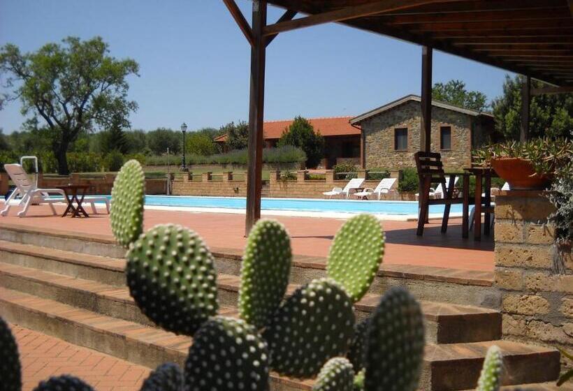 هتل Agriturismo Podere Del Vescovo