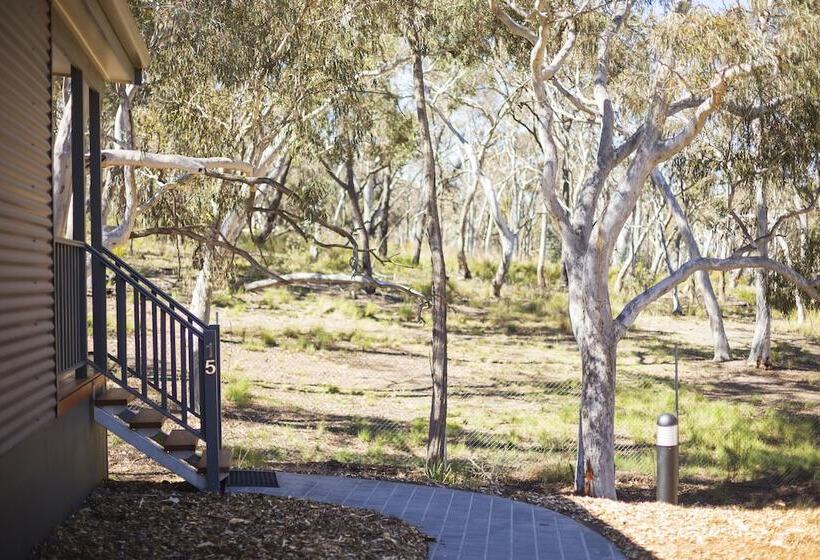 هتل Alivio Tourist Park Canberra