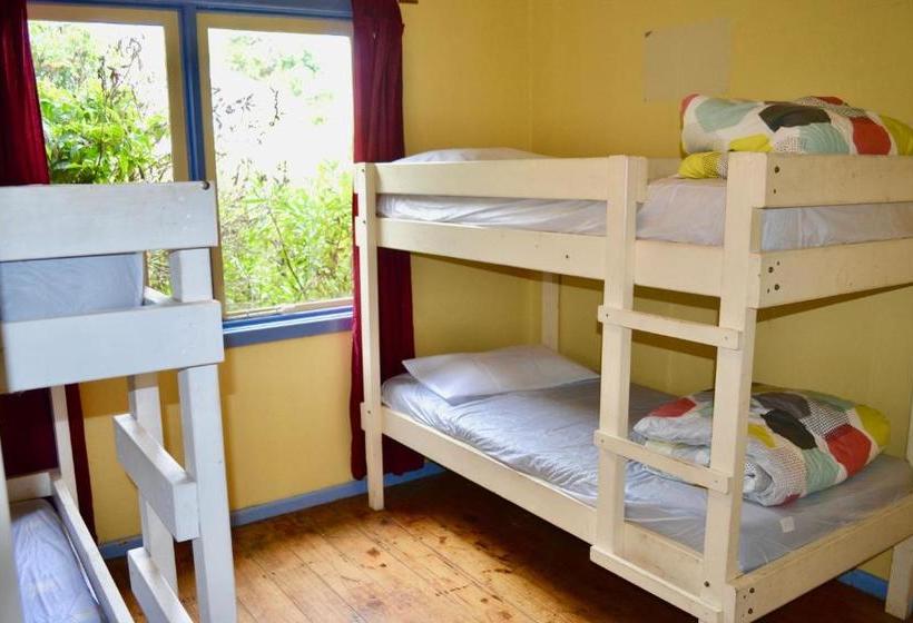 هتل Apollo Bay Backpackers