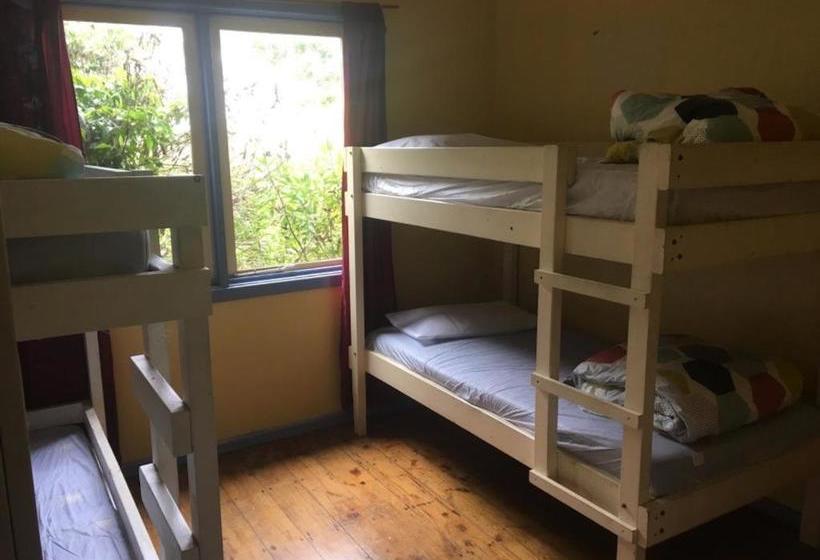 هتل Apollo Bay Backpackers