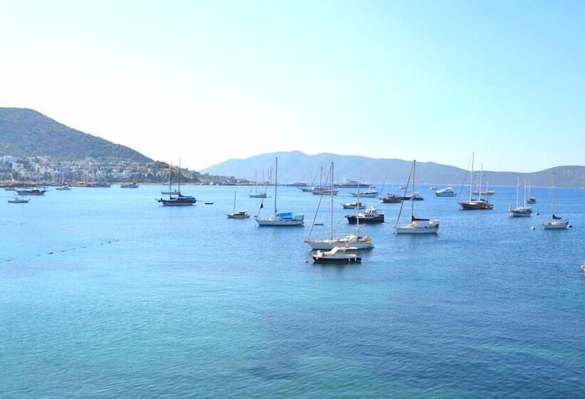 فندق Bac Pansiyon