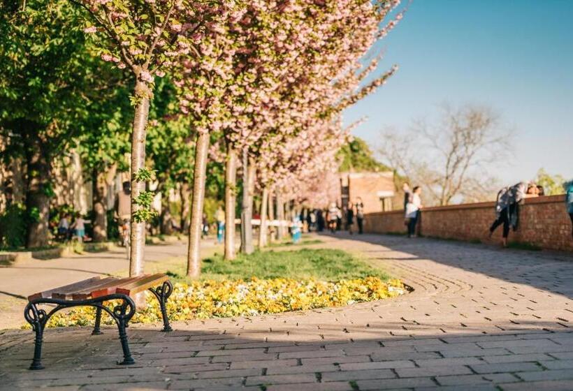 هتل Baltazár Boutique