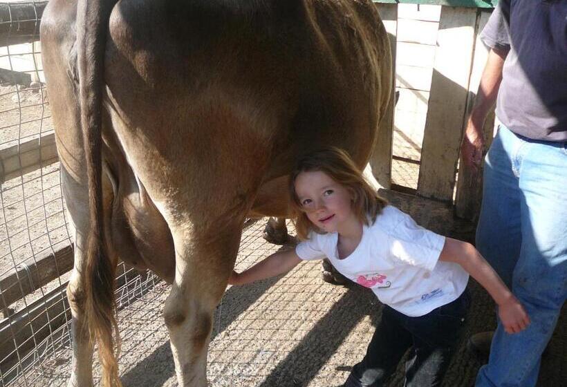 هتل Bestbrook Mountain Farmstay