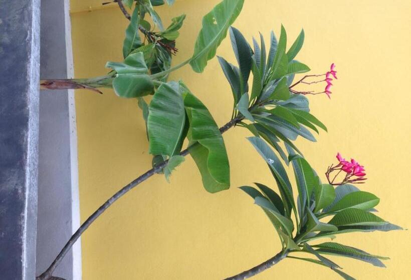 ホテル Bird Day Boutique