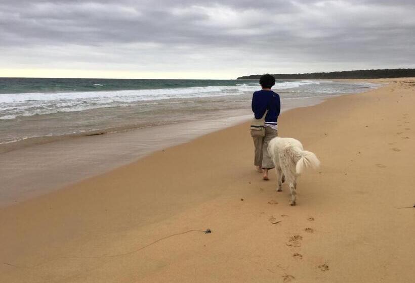 هتل Bryn Glas Farm Stay