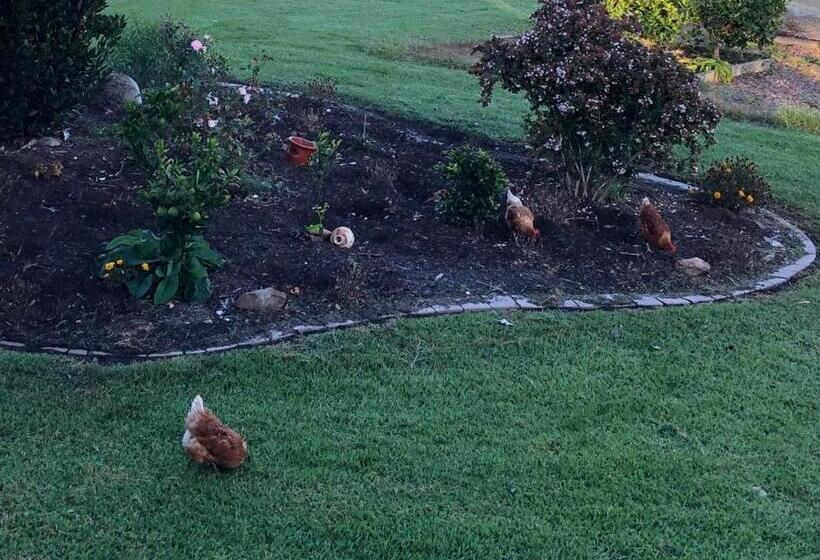 هتل Bryn Glas Farm Stay