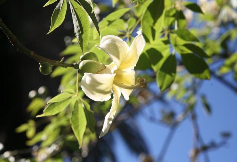 בית מלון כפרי Emblemático Casa Casilda