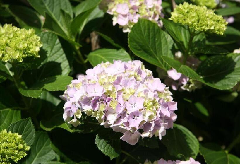 בית מלון כפרי Emblemático Casa Casilda