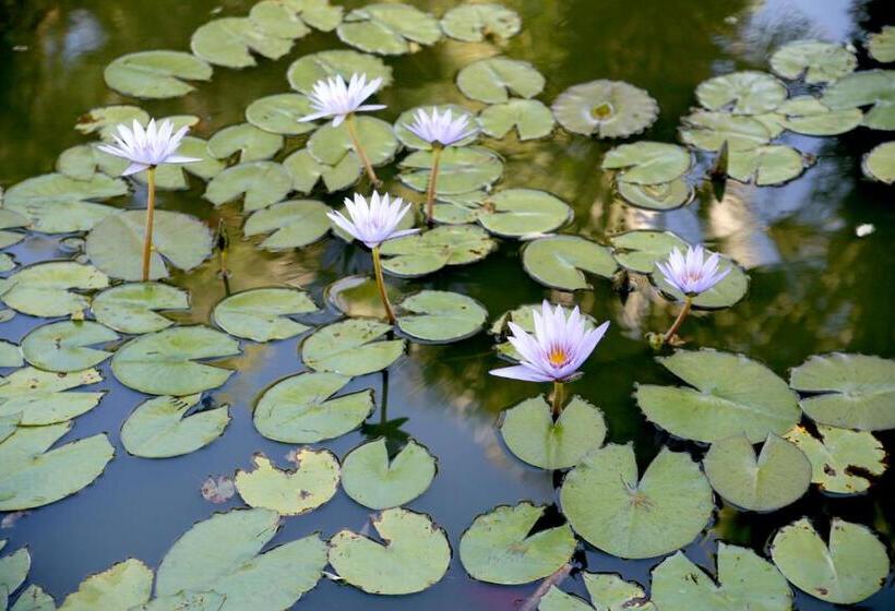 בית מלון כפרי Emblemático Casa Casilda