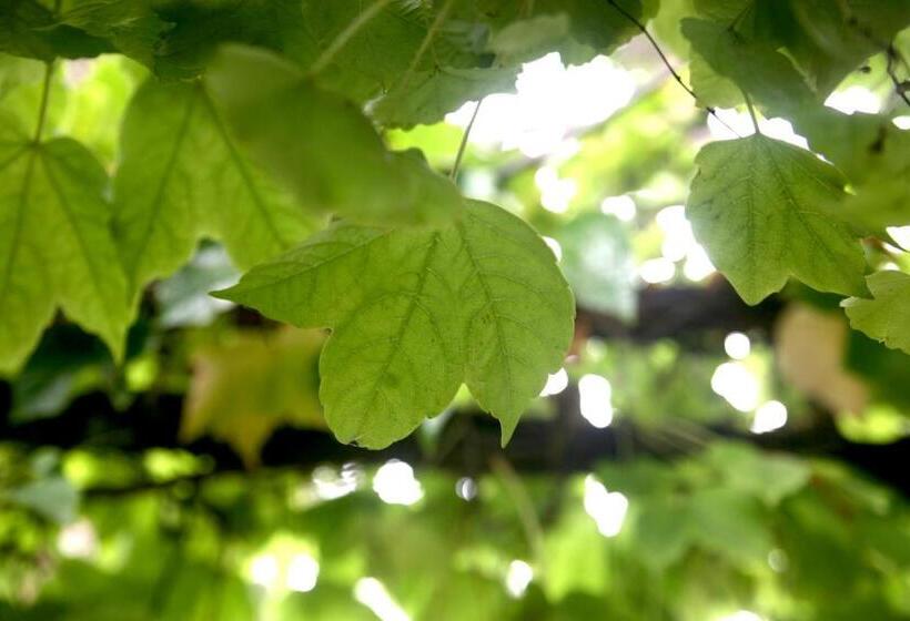 בית מלון כפרי Emblemático Casa Casilda