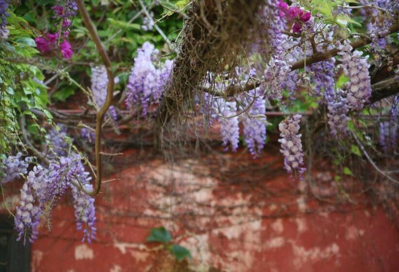 בית מלון כפרי Emblemático Casa Casilda
