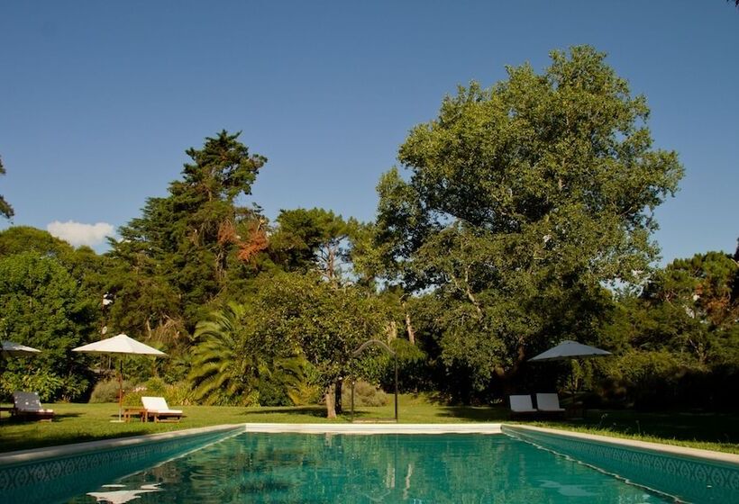 فندق Estancia Monte Viejo