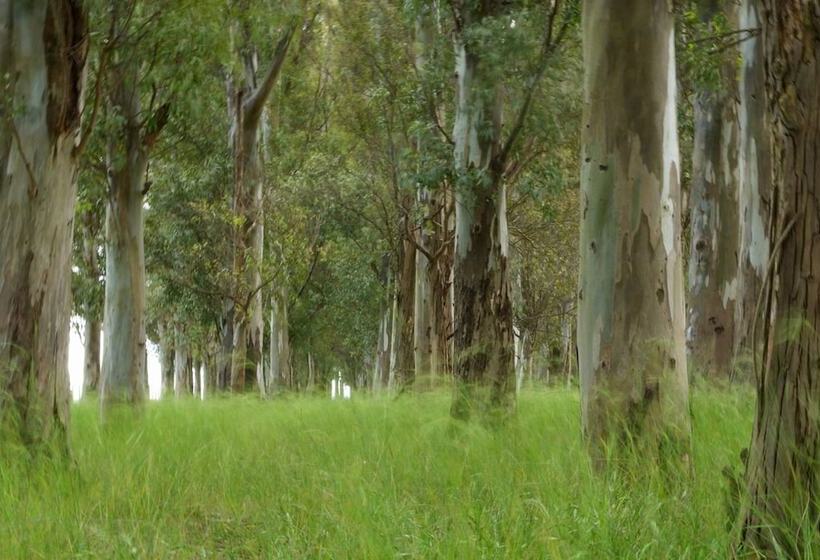 فندق Estancia Monte Viejo