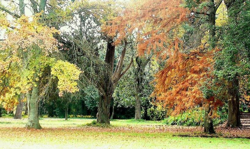 فندق Estancia Monte Viejo