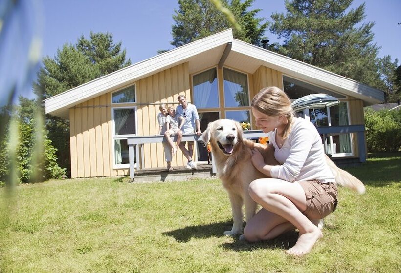 酒店 Ferienpark Mirow