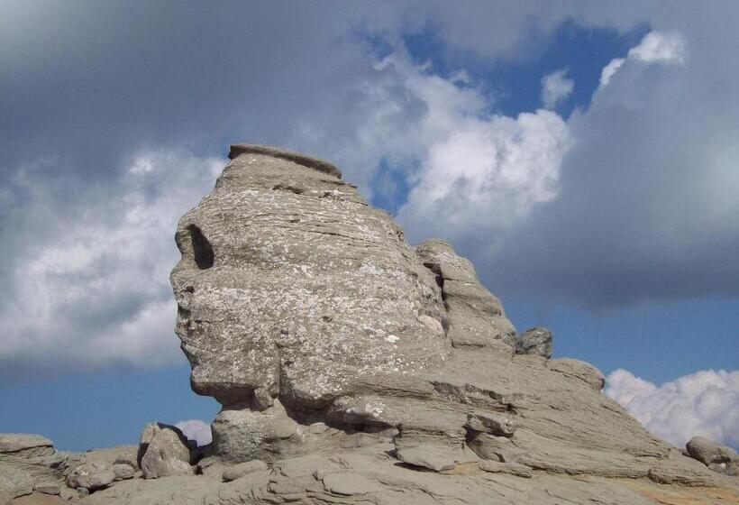 בית מלון כפרי Flora Alpina