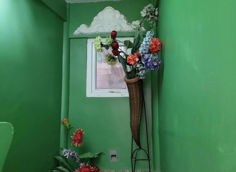 هتل Green Monkey Resort Boracay