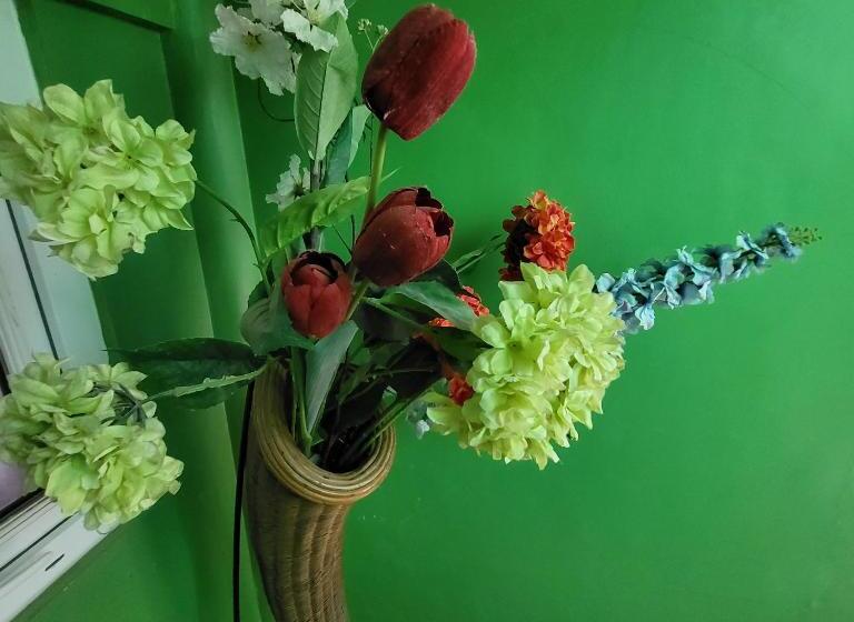 هتل Green Monkey Resort Boracay