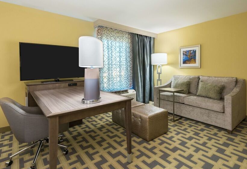 فندق Hampton Inn & Suites Tampa Airport Avion Park Westshore