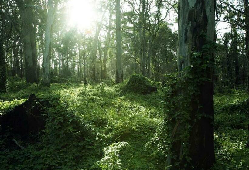 هتل Heritage Trail Lodge