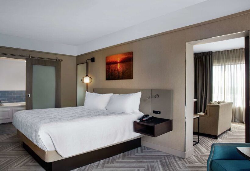 ホテル Hilton Garden Inn Mobile Downtown