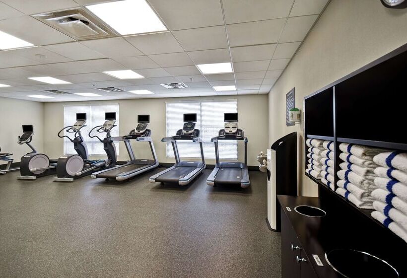 ホテル Homewood Suites By Hilton Dallas Arlington South