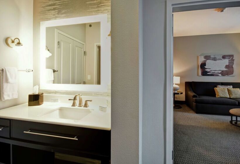 ホテル Homewood Suites By Hilton Dallas Arlington South