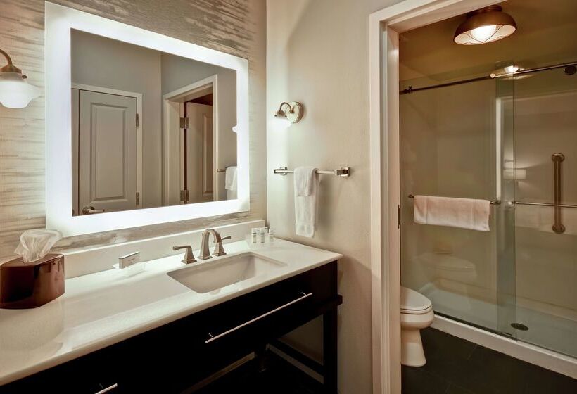 ホテル Homewood Suites By Hilton Dallas Arlington South